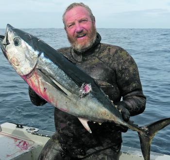 Tuna this size have been appearing in the shallows off Point Lonsdale and the north shore of Portland.