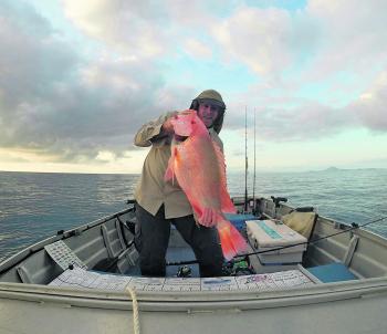 The author caught this 93cm large-mouth nannygai on while on a solo trip in a small tinny.