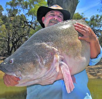 Alex Julius travelled all the way from Darwin to smash out this mega cod and he still reckons the long drive was well worth it. 