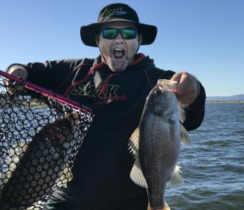 When the bass are playing, expect good numbers on ice jigs. A hooked fish can excite others, so if you are fishing with a mate make the most of it and keep the action going.