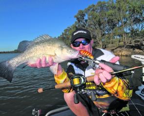 The author with another quality golden perch from the Mildura area.