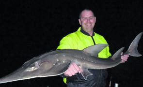 Mark Mannion with a shovel-nosed shark caught at the low end of a tide change.