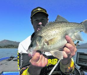 Chunky bass will be on offer at Moogerah Dam this month. Try locating schools around the spit between the boat ramps.