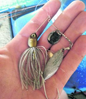 The OSP High pitcher is an awesome compact spinnerbait for luring the tricky Somerset bass from the edges.