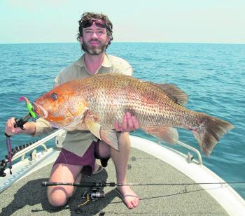 Anglers heading offshore have hooked into some nice golden snapper on plastics when conditions have allowed.