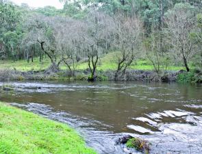 High water levels in Snowy Creek above Mitta Mitta township.