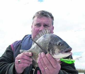 Winter is the time to fish deep in our rivers. This Curdies bream responded to a Legend Minnow that dives to almost 4m.
