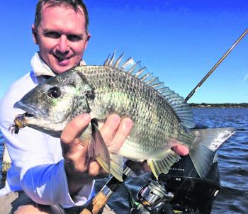 We’d like a dollar for every big, smart ol’ bream that’s been fooled by a Cranka Crab over the last few years. This one came from Forster, NSW.