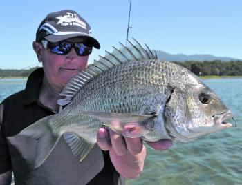 One of several bream taken over sand flats in Wallaga Lake. These fish were located by standing on the bow of the boat taking advantage of the height offered.