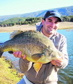 Anything is possible at Blowering Dam this month. On this day last June the author’s party landed over 100 redfin, four Murray cod, two big hybrid carp and three large golden perch, including Craig Barber’s 650mm monster.