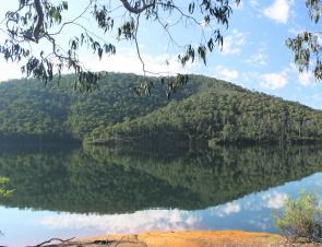 Beautiful and tranquil, Lake William Hovell is a fantastic small lake to take the family for a day out fishing.