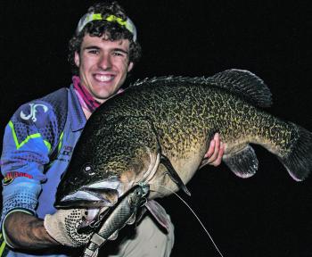 The FX Fury has become one of the top Murray cod lures with another Blowering slab to its name.