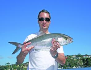 Amberjack are best targeted using methods directly suited to their Seriola cousins the kingfish.