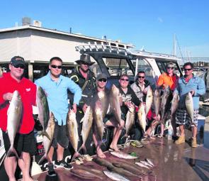 There have been plenty of school-sized Amberjack keen to eat livies on the wider grounds.