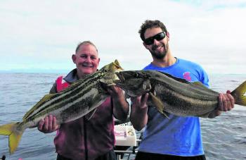 Brody Corbet and his Dad nailed a fine pair of striped trumpeter.