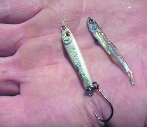 Metal slices to ‘match the hatch’ of baitfish are an essential part of the Winter tackle box.