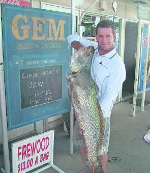 Use live mullet, pike or herring for best results when chasing mulloway.