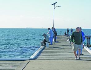 Give Portarlington and St Leonards piers a try for snapper after dark.