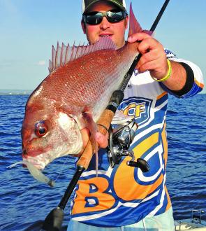 The snapper have been taking 4-5” Shads Flicktails in a variety of colours.