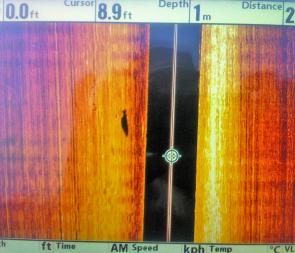 The side scanner clearly shows a big barra cruising past in Lake Monduran.
