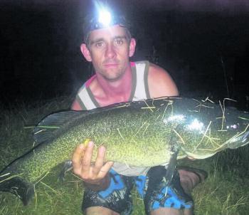 James Ryder with a far better than average Murray cod caught after dark on a surface lure.