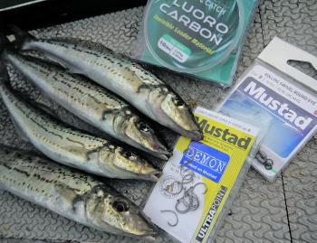 Whiting have small mouths, so small circle hooks are ideal when they are feeding aggressively. 