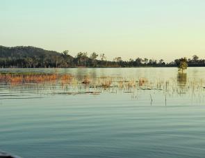 A perfect recipe for winter success. There’s less than a metre of water here, plus some cover for the fish. 