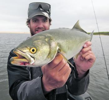 Justin Dingwall recently battled huge nasty tailor at Bemm like this one over 60cm.