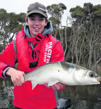 Cam Cleal horsed in a whopping Bemm poddy mullet – a nice by-catch, these fish run like steam trains! 