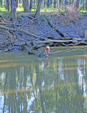 Losing lures can be a frustrating part of fishing. The warmer weather gives you the option to swim for the ones you really want to keep, as Matt Rava of Wagga demonstrates.