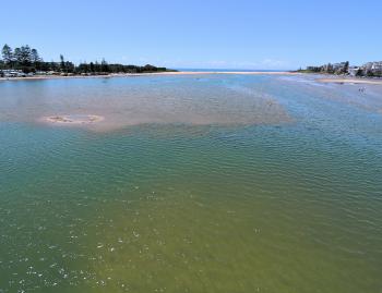 The shallow sandy area from the bridge down towards the mouth is a whiting stronghold at The Entrance during late summer. Surface stickbaits will work here, although small wormy soft plastics, 30mm vibes and natural baits like bloodworms or prawns can be 