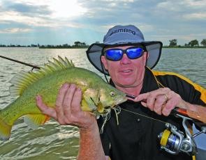 There are some good golden perch to be landed in most areas.