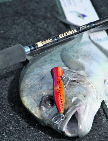 Any fish on a popper is fun, but GT are the kings of smashing strikes, no matter what size they are.