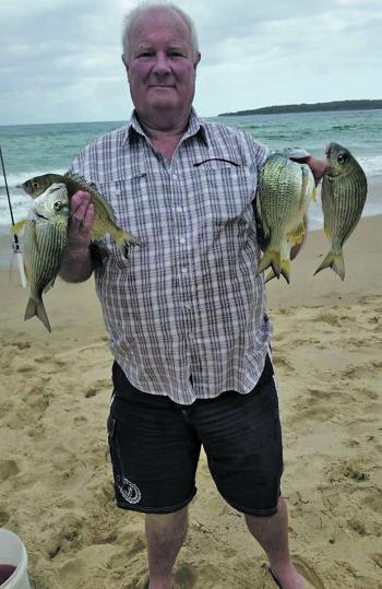 Catching eight fish up to 34cm, in one hour off the beach – that’s a good run. 