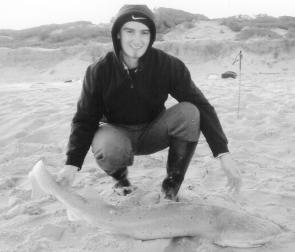 Justin Shankland landed this seven-gilled shark from Golden Beach on bluebait during the day.