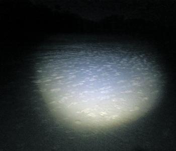 A quality headlamp when night fishing makes life much easier.