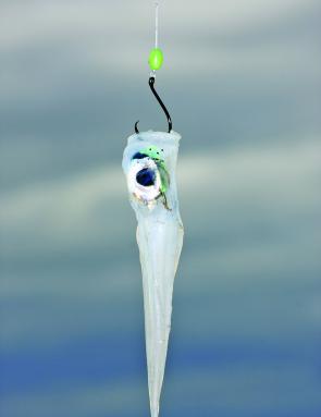 A perfect and well rigged calamari head on a single circle hook.