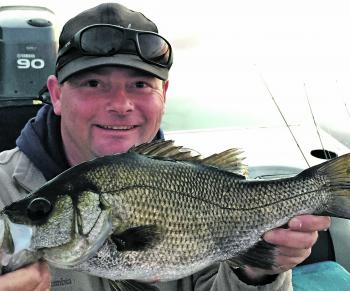 Heavy timber snags hold some great estuary perch.