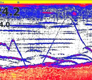 Here’s a sonar shot of a blade being used to target bass in very cold water.