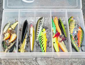 A small tacklebox full of sinking minnows and you are set for some neat creek bass fishing.