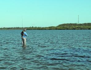 Andrew Ready out doing a bit of field testing in the Great Sandy Straits. Tough work!