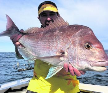 Hungry snapper are in the region, so get stuck into them!