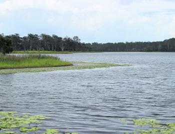 Points are consistent in producing good numbers of bass and are my favourite areas to fish.