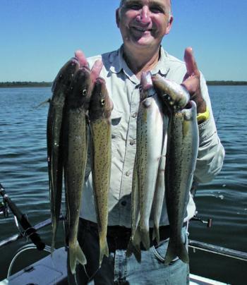 The author with part of a good catch of his favourite fish, the King George whiting.