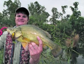 Zac Jury caught this golden perch at the Loddon River while on a tour with Cod Hunter Fishing Tours. The golden perch was caught on a Custom Crafted Hammerhead.