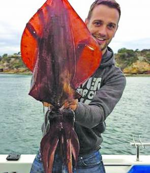 Dan Lee with a quality Sorrento squid. 
