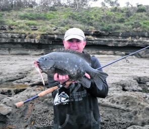 Big fat drummer occasionally get in on the act when chasing reds on plastics off the rocks, as Ray Smith discovered.