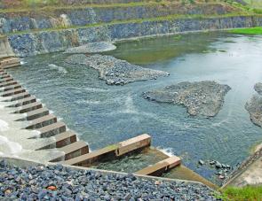 The Awoonga spillway was still flowing over in late February. This photo clearly shows the escape channels GAWB staff built to release the trapped barra into the Boyne River downstream. A raging success.