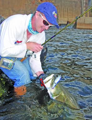 This barra of around 110cm snaffled a Nories swimbait in the spillway pool.