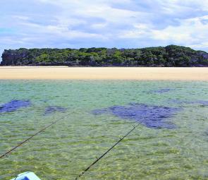 Down at the entrance there are sand flats, drop-offs, weed beds and plenty of fish – who needs more?